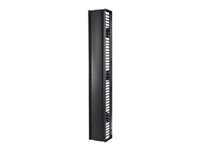 APC Valueline Vertical Cable Manager for 2 and 4 Post Racks 84p X 12p Single-Sided with Door