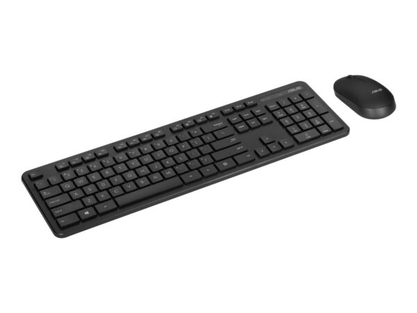 ASUS CW100 Wireless Combo