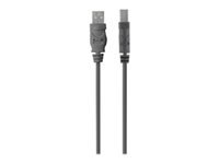 BELKIN USB2.0 A-B Cable 4.8m