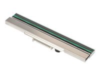BROTHER Printhead 300 DPI for TJ-41xx Dealer Option