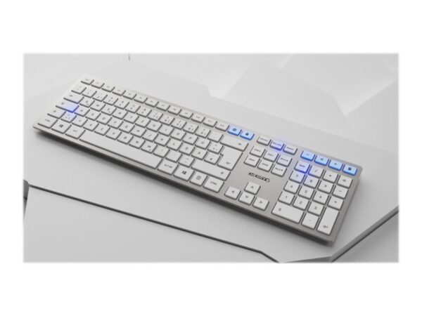 CHERRY DW 9100 SLIM Wireless Desktop USB Bluetooth white/silver rechargeable (FR)