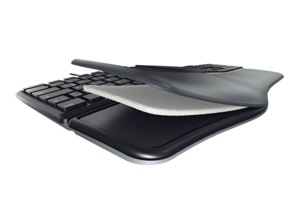 CHERRY KC 4500 ERGO Wired Keyboard (CH)