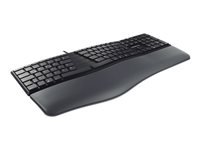 CHERRY KC 4500 ERGO Wired Keyboard (CH)
