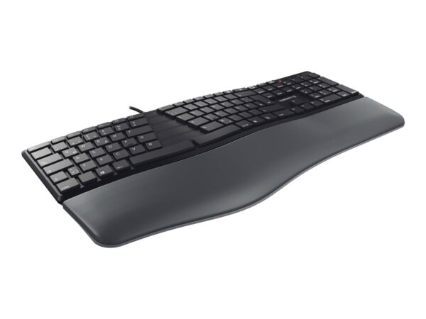 CHERRY KC 4500 ERGO Wired Keyboard (PN)