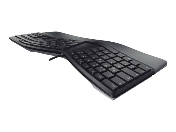 CHERRY KC 4500 ERGO Wired Keyboard (PN)