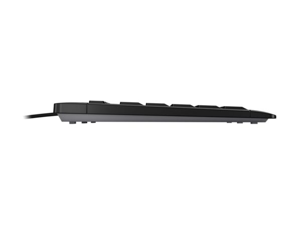 CHERRY Stream Keyboard Clavier 105+10 touches USB noir (IT)