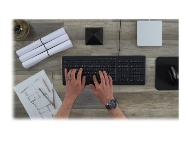 CHERRY Stream Keyboard Clavier 105+10 touches USB noir (IT)