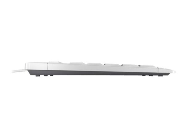 CHERRY Stream Keyboard grey (FR)