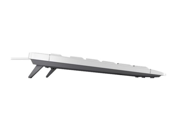 CHERRY Stream Keyboard grey (FR)