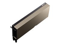 CISCO TESLA NVIDIA A100 Passive 300W 80Go wPWR CBL