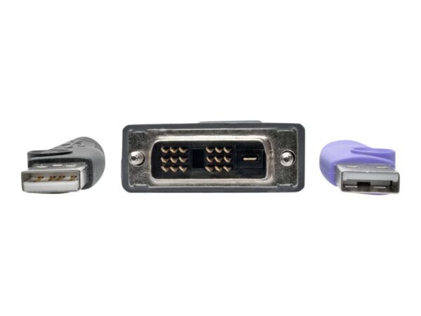 EATON NetDirector DVI USB Server Interface Unit with Virtual Media and CAC Support B064-IPG Series USB and DVI