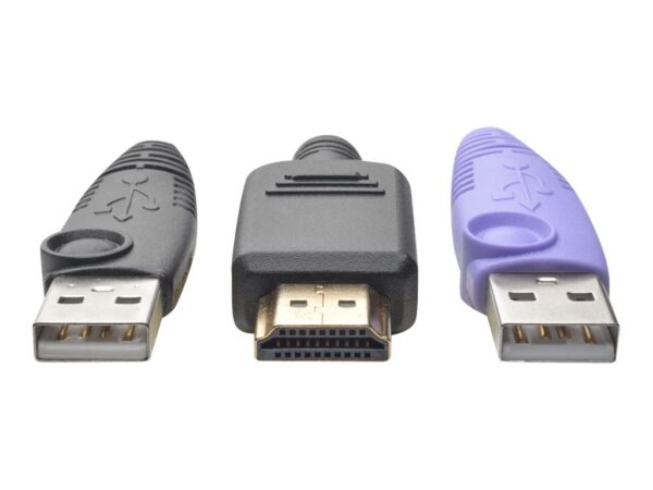 EATON NetDirector HDMI USB Server Interface Unit with Virtual Media and CAC Support B064-IPG Series USB and HDMI