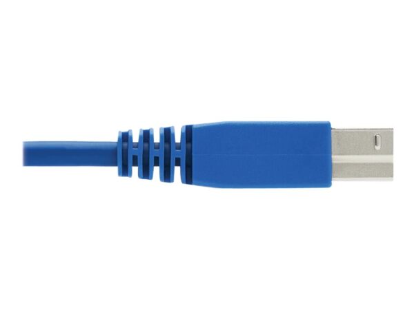 EATON TRIPPLITE DisplayPort KVM Cable Kit for Tripp Lite B005-DPUA2-K and B005-DPUA4 KVM 4K DP USB 3.2 3.5mm 6ft. 1.83m