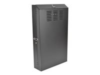 EATON TRIPPLITE SmartRack 6U Low-Profile Vertical-Mount Server-Depth Wall-Mount Rack Enclosure Cabinet