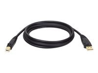 EATON TRIPPLITE USB 2.0 A/B Cable M/M 6ft. 1.83m
