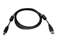 EATON TRIPPLITE USB 2.0 A/B Cable with Ferrite Chokes M/M 6ft. 1.83m
