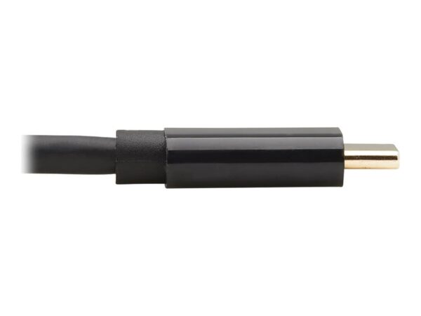 EATON TRIPPLITE USB-C to DisplayPort Bi-Directional Active Adapter Cable M/M 4K 60 HDR Locking DP Connector 6ft. 1.8m