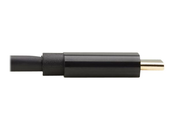 EATON TRIPPLITE USB-C to DisplayPort Bi-Directional Active Adapter Cable M/M 4K 60 Hz HDR Locking DP Connector 3 ft. 0.9m