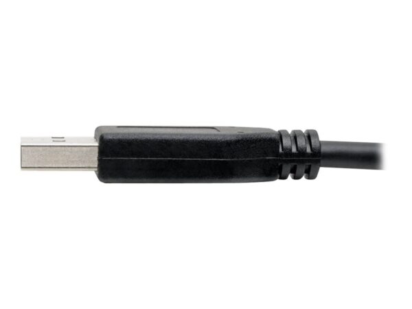 EATON TRIPPLITE USB-C to USB-A Cable M/M USB 3.1 Gen 1 5Gbps Thunderbolt 3 Compatible 6ft. 1.83m