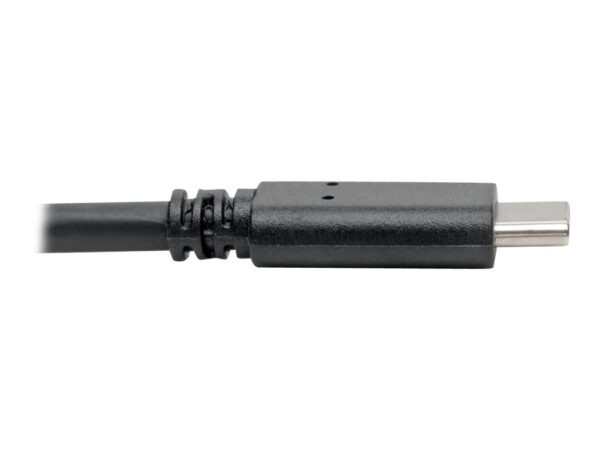 EATON TRIPPLITE USB-C to USB-A Cable M/M USB 3.1 Gen 1 5Gbps Thunderbolt 3 Compatible 6ft. 1.83m