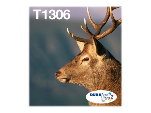 EPSON 1LB Multipack 3-colours T1306 DURABrite Ultra Ink EasyMail
