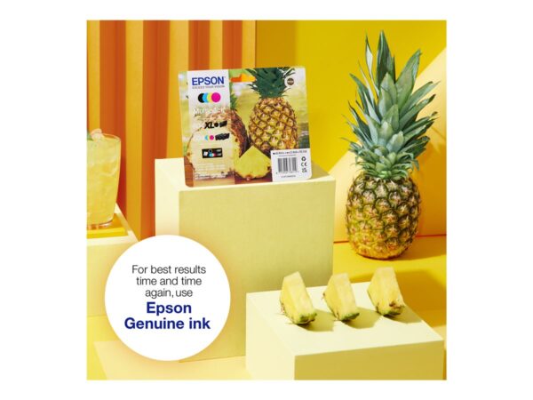 EPSON 1LB Multipack 4colours 604XL Ink w/s