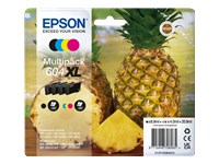 EPSON 1LB Multipack 4colours 604XL Ink w/s