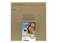 EPSON 2LB EasyMail MP Cheetah DURABrite Ultra CMYK