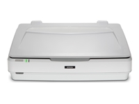 EPSON Expression 13000XL Flatbed scanner A3 2400x4800dpi USB 2.0