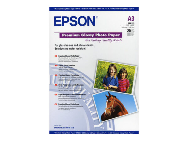 EPSON S041315 brillant photo papier inkjet 255g/m2 A3 20 feuilles pack de 1
