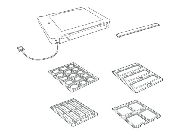 EPSON Transparency unit