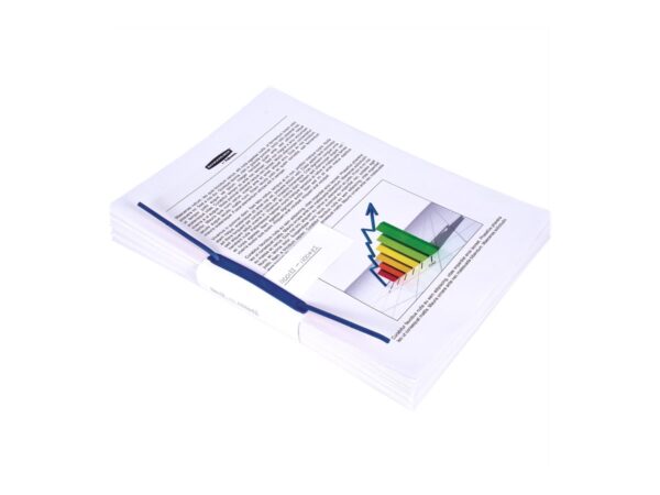 FELLOWES Archive Box Blue 100Pk