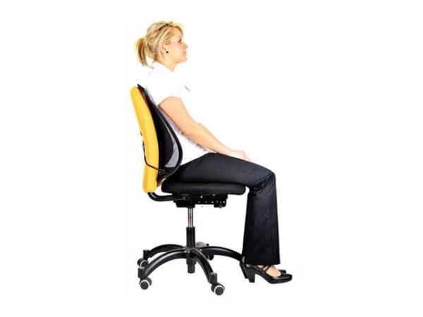 FELLOWES CONTOUR MESH BACK SUPPORT