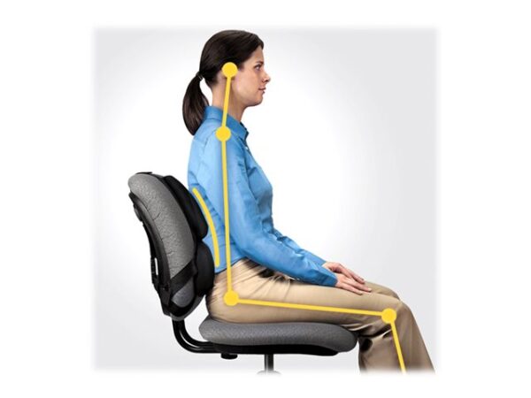 FELLOWES Support dorsal Premium Professional Series™ Antibactérien