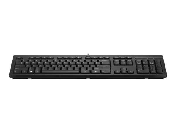 HP 125 Wired Keyboard – English QWERTY (EN)