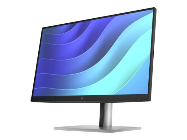 HP Écran E22 G5 FHD 21.5p FHD 1920×1080 HDMI USB hub DisplayPort