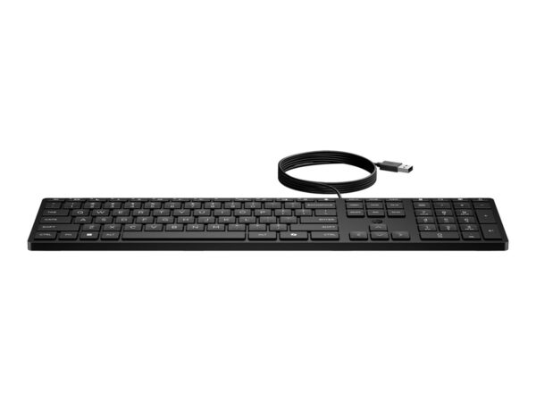 HP Wired Desktop 320K Keyboard SmartBuy (CH)