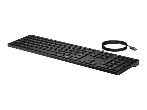HP Wired Desktop 320K Keyboard SmartBuy (CH)