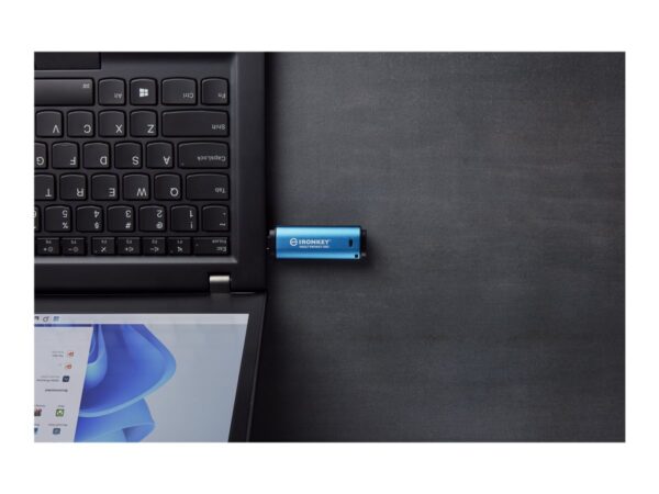 KINGSTON 32Go USB-C IronKey Vault Privacy 50C AES-256 Encrypted FIPS 197