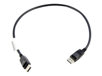 LENOVO 0.5 Metre DisplayPort vers DisplayPort câble