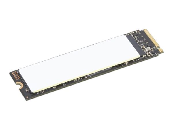 LENOVO ThinkPad 2To Performance PCIe Gen4 NVMe OPAL2 M.2 2280 SSD Gen3