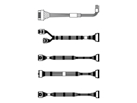 LENOVO ThinkSystem SR665 2.5 Chassis Front BP2 NVMe Cable Kit