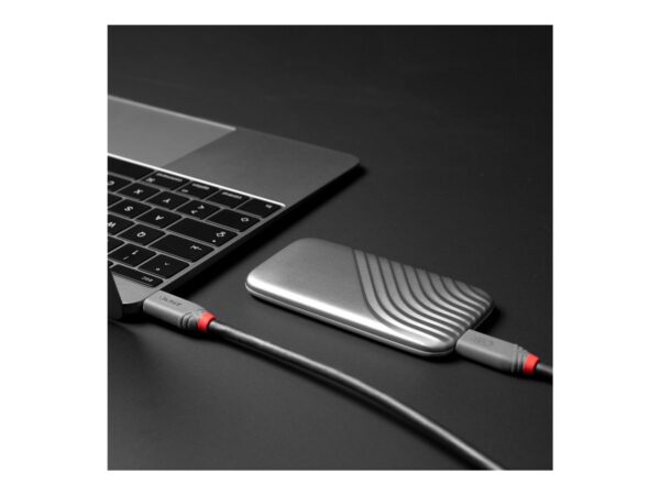 LINDY 0.8m USB 4 240W Type C Cable Anthra Line