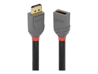 LINDY 2m DisplayPort Extension Cable Anthra Line