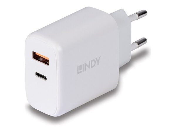 LINDY 30W USB Type A & C Charger