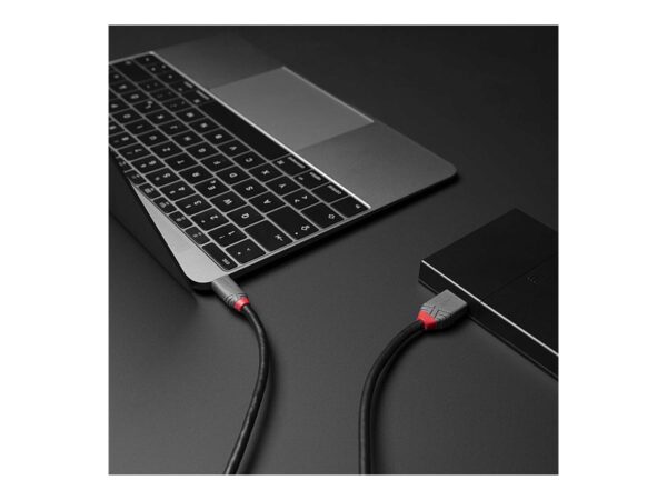 LINDY 3m USB 3.2 Type C to Micro-B Cable Anthra Line