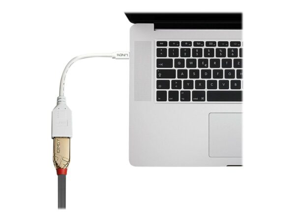 LINDY Câble adaptateur Mini DP M vers DP F Premium blindé