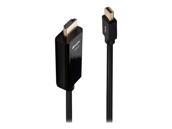 LINDY Câble Mini DisplayPort vers HDMI 4K30 DP:passif 1m