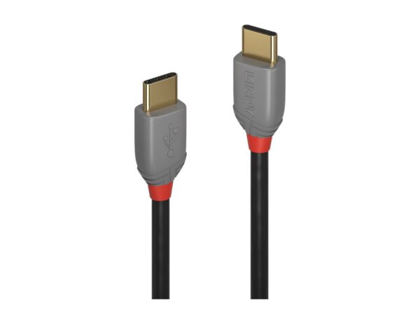 LINDY Câble USB 2.0 Type C Anthra Line 0.5m
