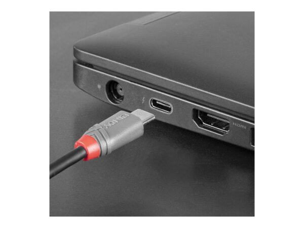 LINDY Câble USB 2.0 Type C vers Micro-B Anthra Line 2m